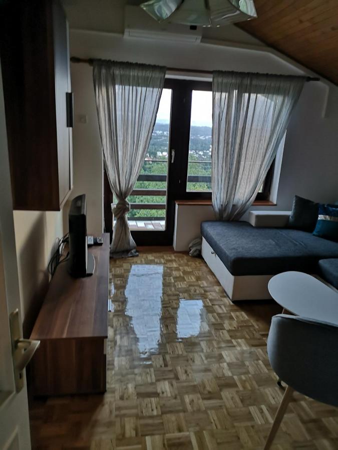 Apartment Gina Opatija Exteriér fotografie